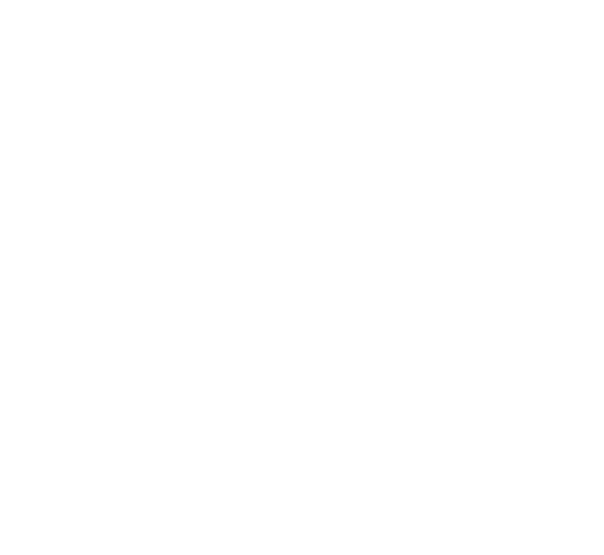 Advanced Vision